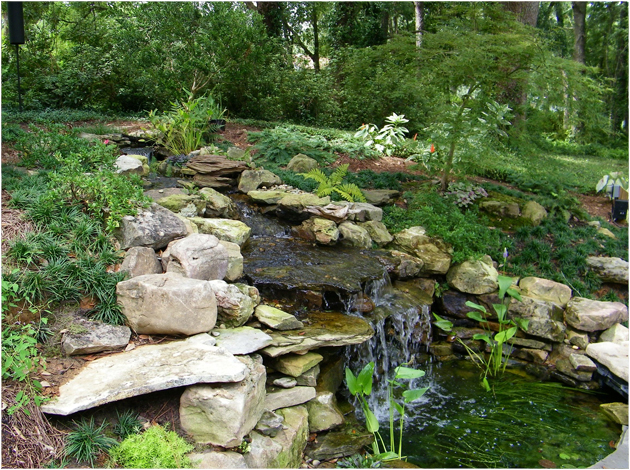 Creative Waterscapes | Creative Landscape Services